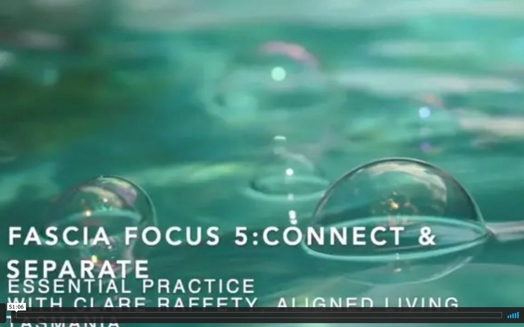 Fascial Wellness Essential Session 5:  Connection & Separation