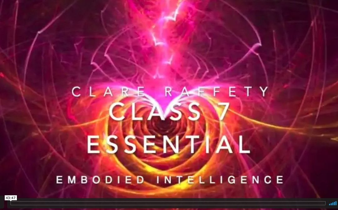 Neuroscience informed practice Essential session 7: Embodied Intelligence