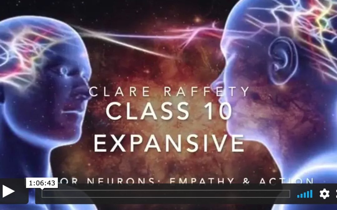 Neuroscience informed practice Expansive session 10: Mirror Neurones, Empathy & Action