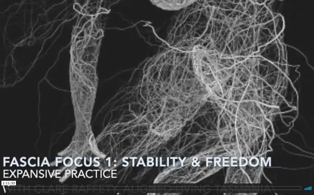 Fascial Wellness Expansive Session 1:  Stability & Freedom
