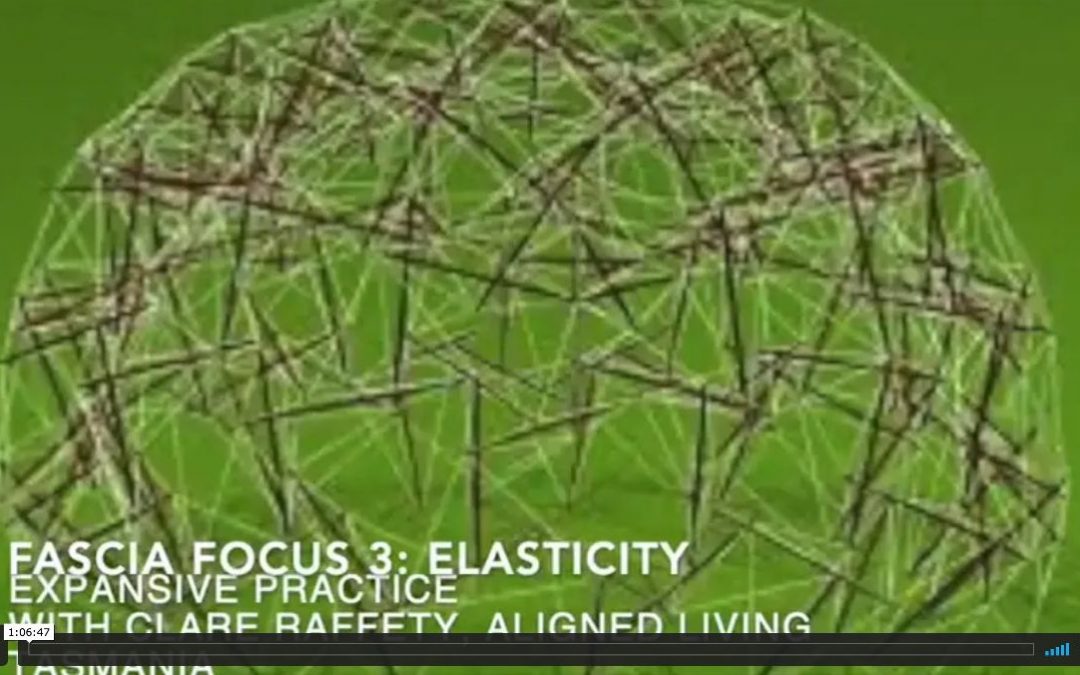 Fascial Wellness Expansive Session 3:  Elasticity