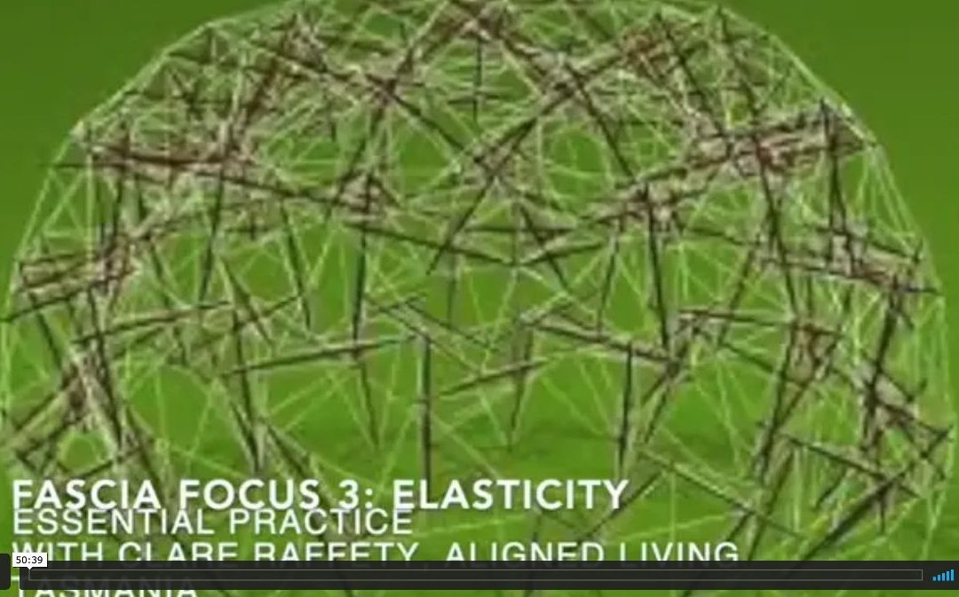 Fascial Wellness Essential Session 3:  Elasticity