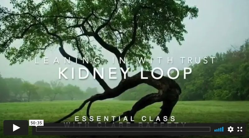 Kidney Loop & Leaning in with Trust, Essential session