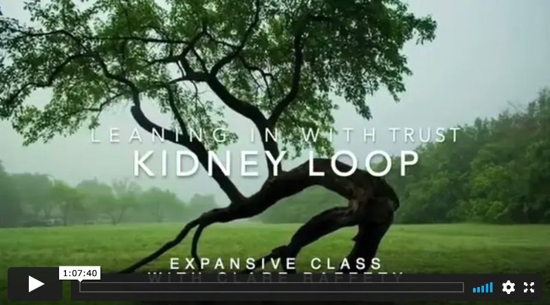 Kidney loop & leaning in, Expansive Session