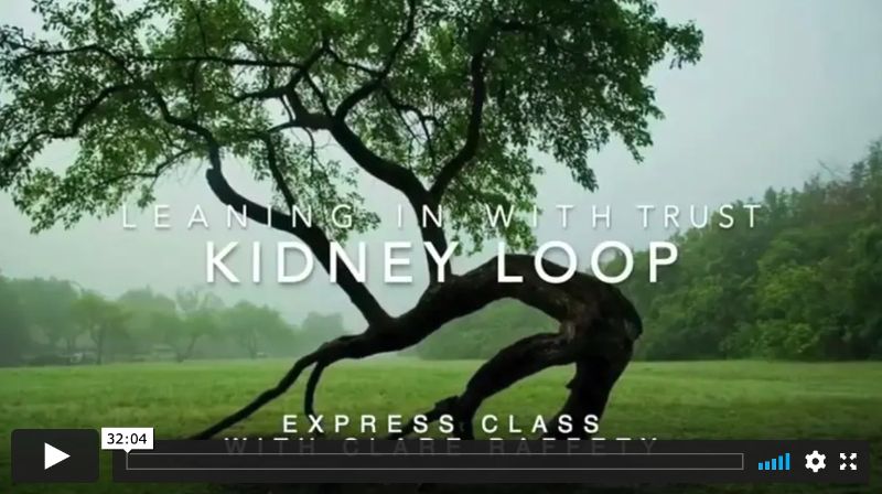 Kidney loop & leaning in, Express Session