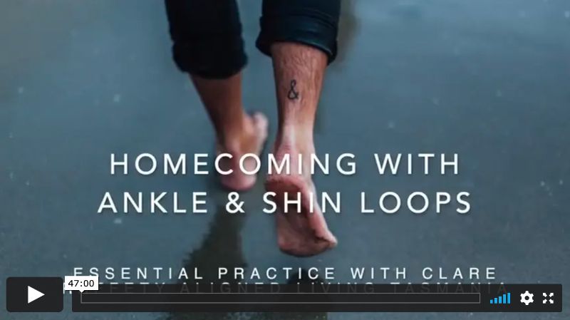 Homecoming with Ankle & Shin Loops, Essential Session 1