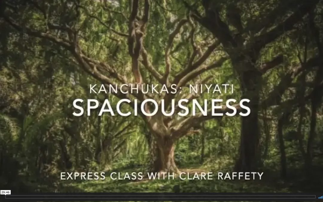Kanchukas: Spaciousness. Express session