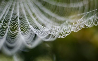 the gift of presence