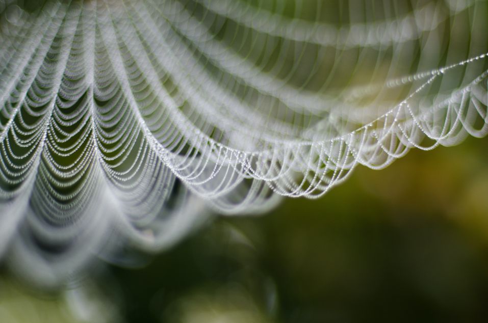 the gift of presence