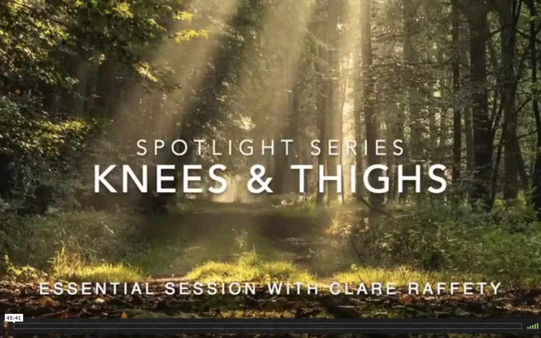 Spotlight Series: knees & thighs. Essential session