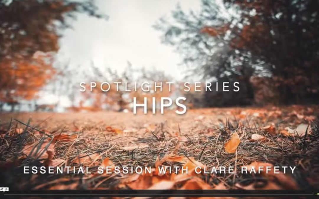 Spotlight Series: hips. Essential session