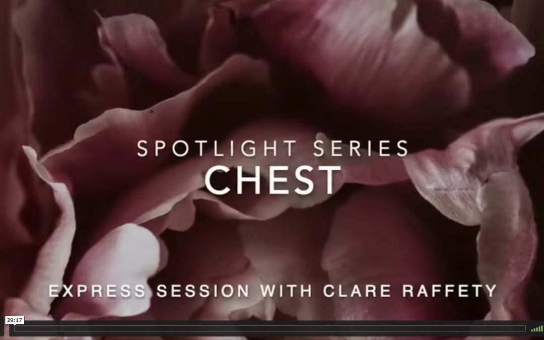 Spotlight Series: chest. Express session