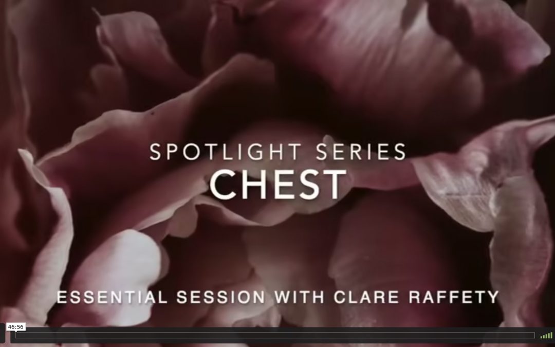 Spotlight Series: chest. Essential session