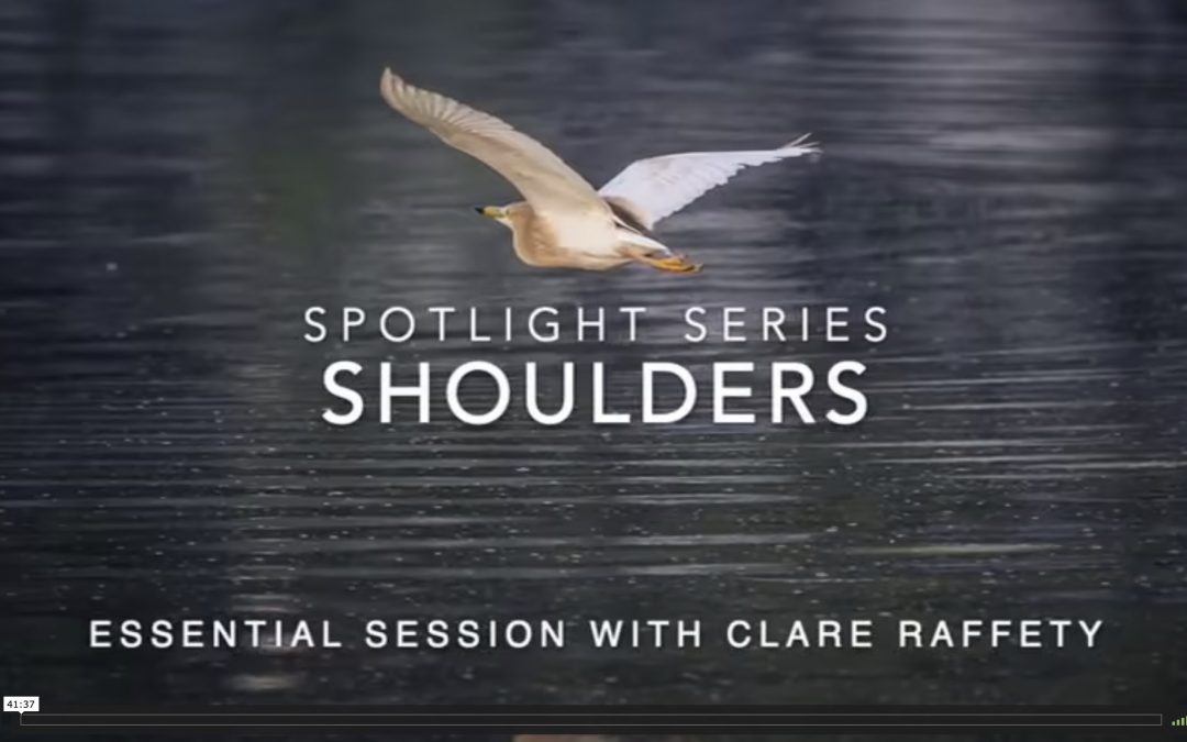 Spotlight Series: shoulders. Essential session