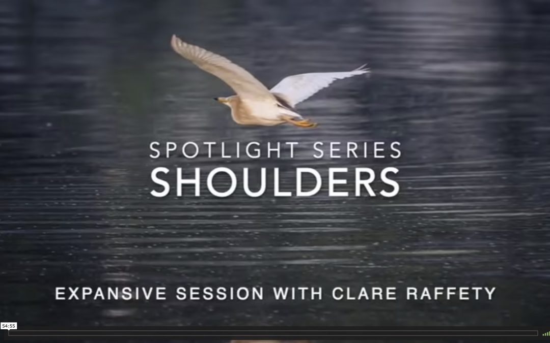 Spotlight Series: shoulders. Expansive session