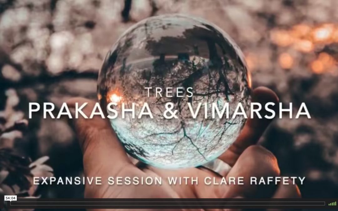 Series inspired by trees: Prakasha & Vimarsha. Expansive