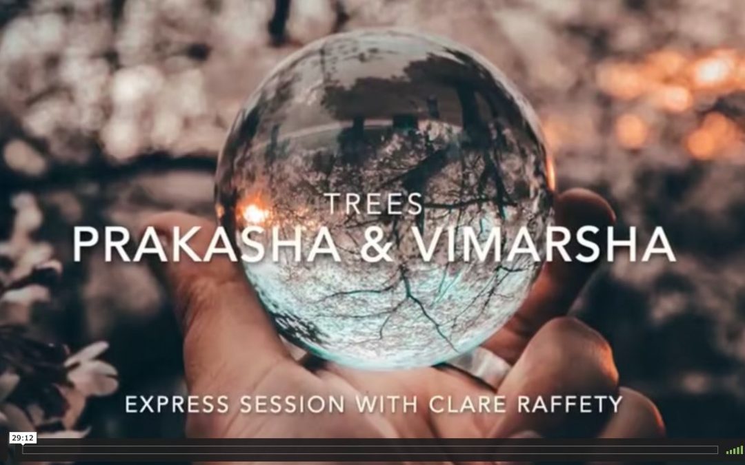 Series inspired by trees: Prakasha & Vimarsha. Express