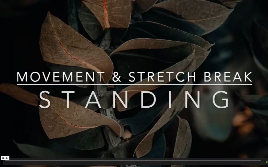 Standing movement & stretch break
