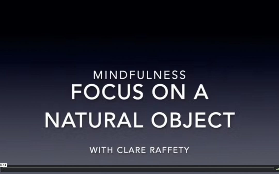 mindfulness: 5 minutes focus on a natural object