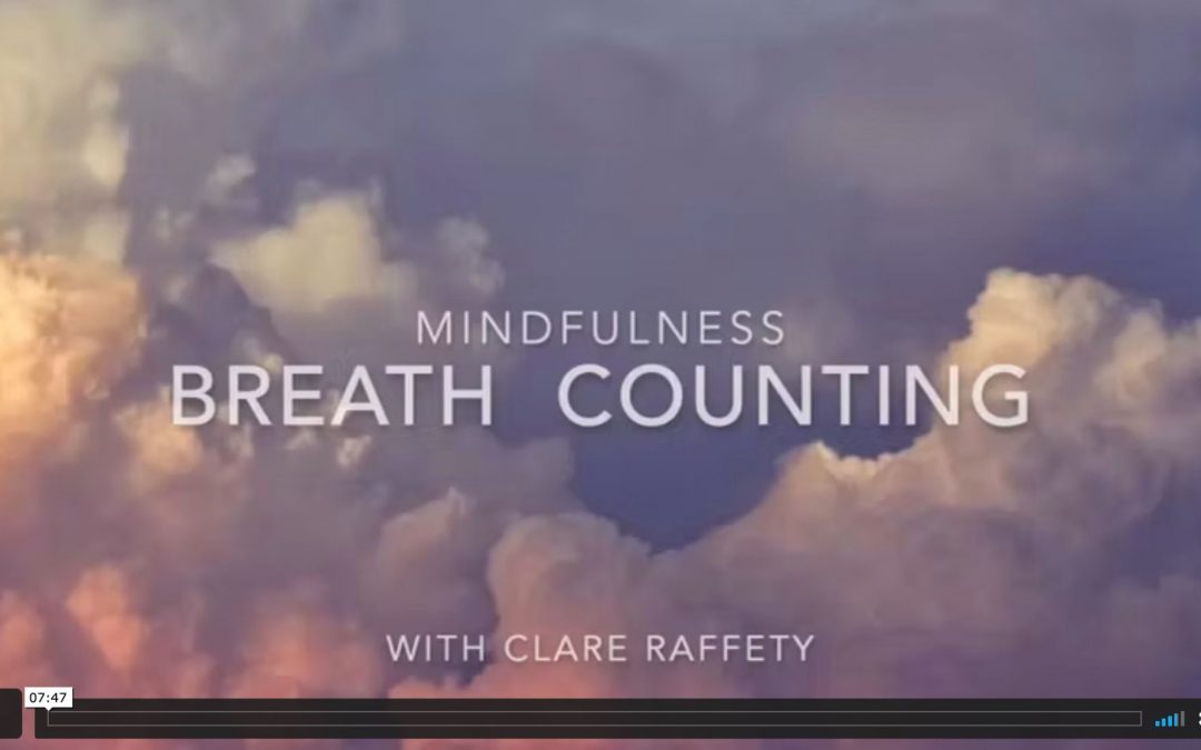 mindfulness: 8 minutes breath counting