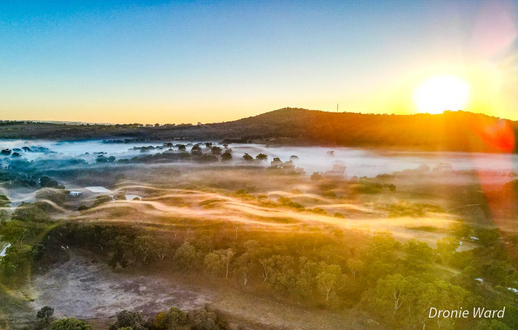 Aligned Living Tasmania Logo History